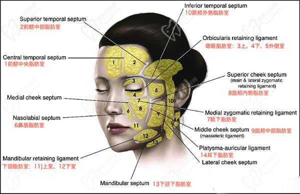 北京藝星整形醫(yī)院微整注射價格表