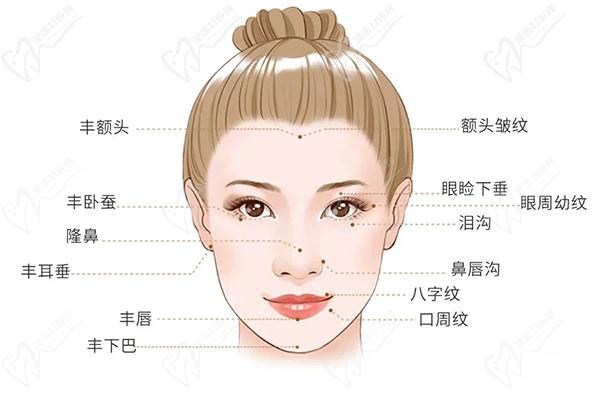 玻尿酸填充部位