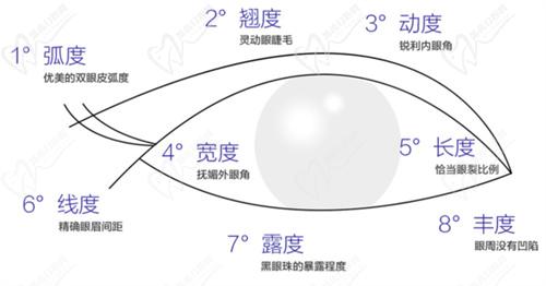 四、陳猛醫(yī)生個人簡歷：